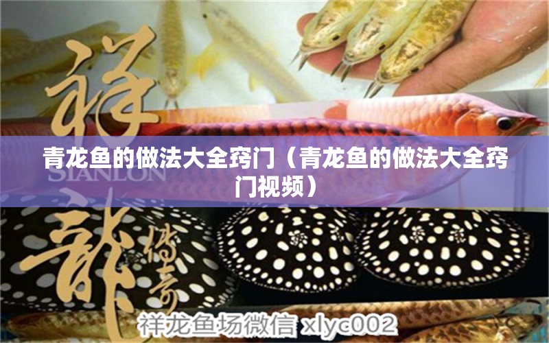 青龍魚(yú)的做法大全竅門(mén)（青龍魚(yú)的做法大全竅門(mén)視頻）