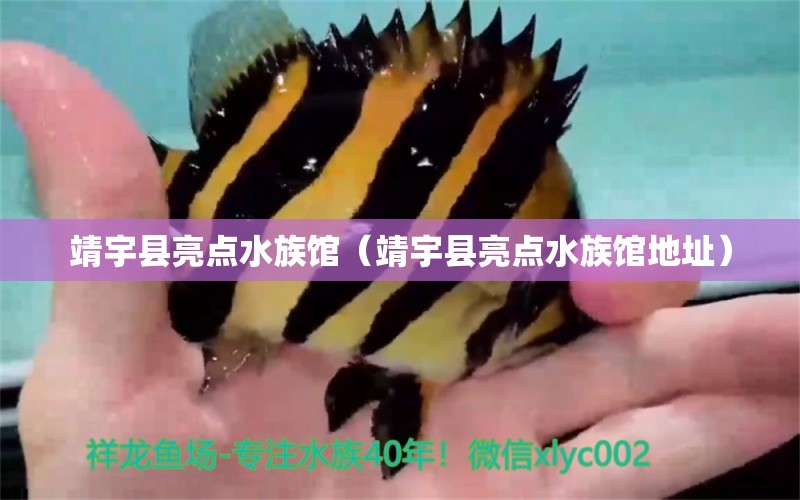 靖宇縣亮點(diǎn)水族館（靖宇縣亮點(diǎn)水族館地址） 全國水族館企業(yè)名錄