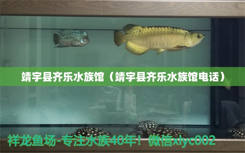 靖宇縣齊樂(lè)水族館（靖宇縣齊樂(lè)水族館電話）