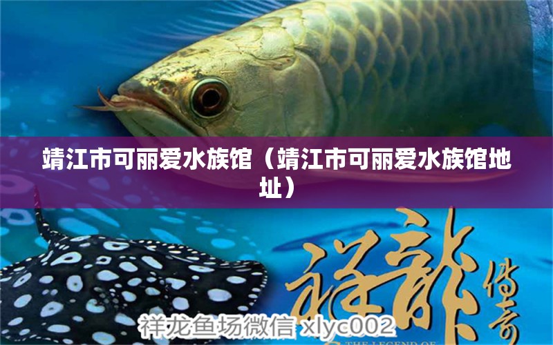 靖江市可麗愛水族館（靖江市可麗愛水族館地址） 全國水族館企業(yè)名錄