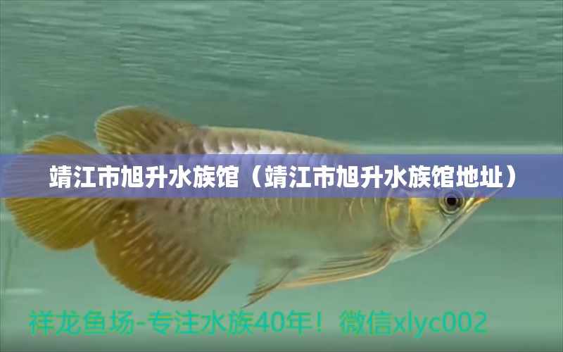 靖江市旭升水族館（靖江市旭升水族館地址） 全國水族館企業(yè)名錄