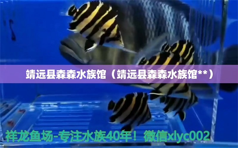 靖遠縣森森水族館（靖遠縣森森水族館**） 全國水族館企業(yè)名錄