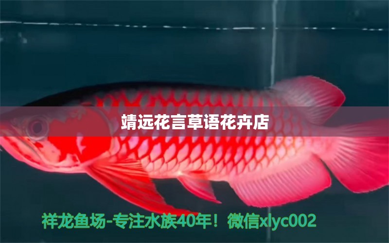 靖遠(yuǎn)花言草語花卉店 全國水族館企業(yè)名錄