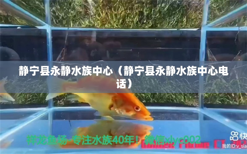 靜寧縣永靜水族中心（靜寧縣永靜水族中心電話）