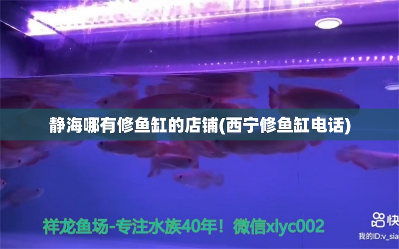 靜海哪有修魚缸的店鋪(西寧修魚缸電話) 伊巴卡魚