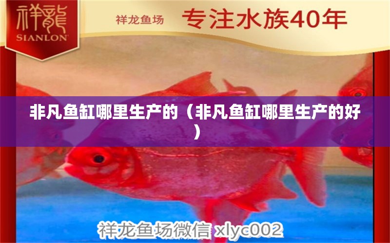 非凡魚缸哪里生產(chǎn)的（非凡魚缸哪里生產(chǎn)的好）