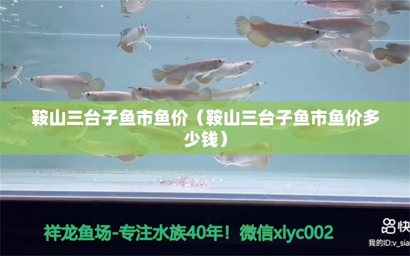 鞍山三臺子魚市魚價（鞍山三臺子魚市魚價多少錢） 廣州龍魚批發(fā)市場