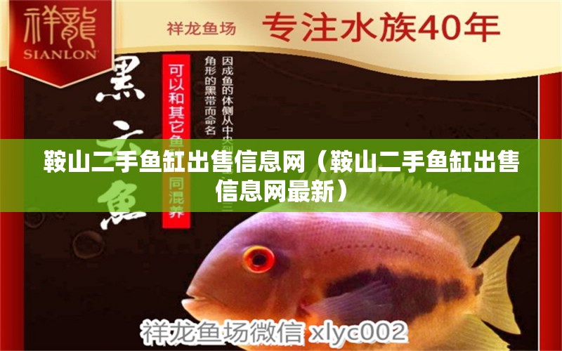 鞍山二手魚缸出售信息網(wǎng)（鞍山二手魚缸出售信息網(wǎng)最新）