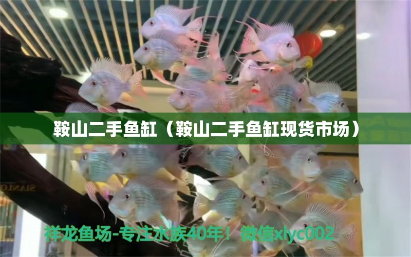 鞍山二手魚缸（鞍山二手魚缸現(xiàn)貨市場）