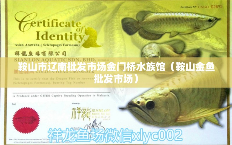 鞍山市遼南批發(fā)市場(chǎng)金門橋水族館（鞍山金魚批發(fā)市場(chǎng)）