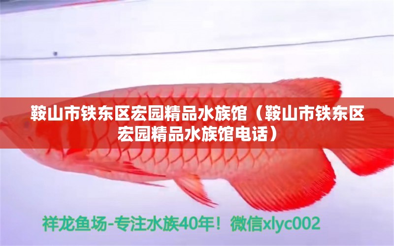 鞍山市鐵東區(qū)宏園精品水族館（鞍山市鐵東區(qū)宏園精品水族館電話）