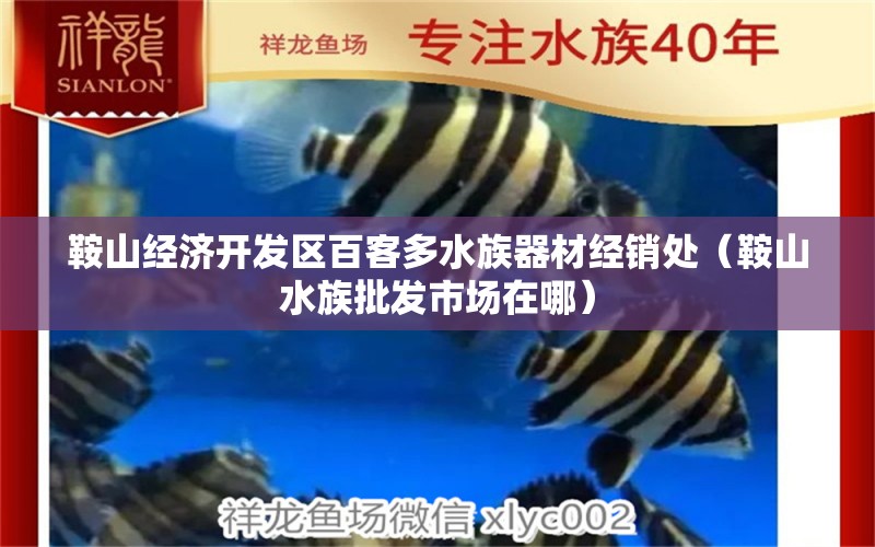 鞍山經(jīng)濟開發(fā)區(qū)百客多水族器材經(jīng)銷處（鞍山水族批發(fā)市場在哪）