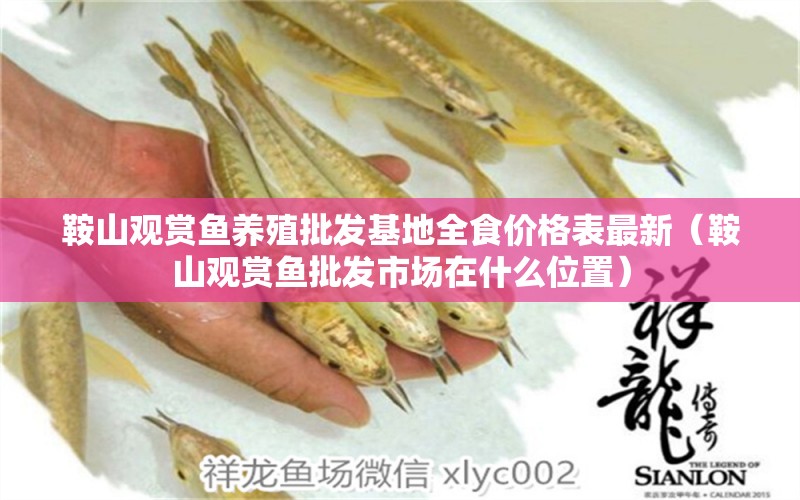 鞍山觀賞魚(yú)養(yǎng)殖批發(fā)基地全食價(jià)格表最新（鞍山觀賞魚(yú)批發(fā)市場(chǎng)在什么位置）