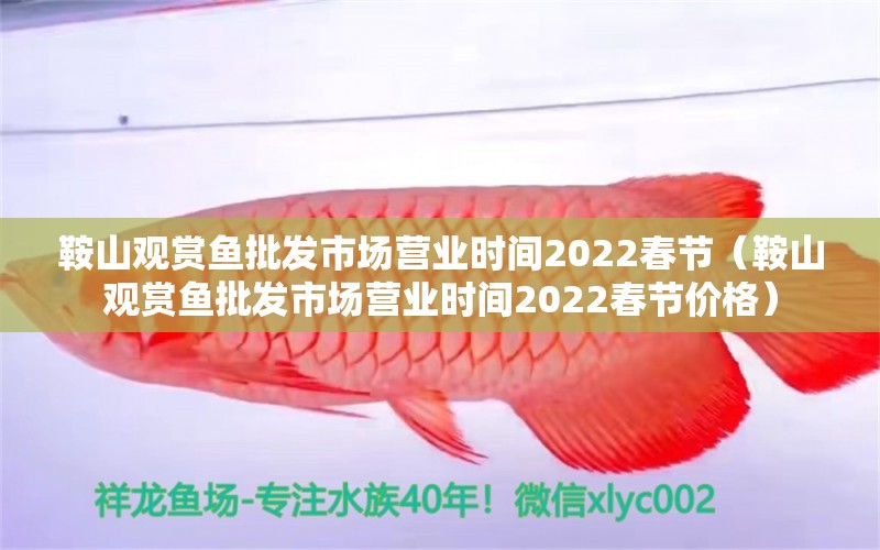 鞍山觀賞魚(yú)批發(fā)市場(chǎng)營(yíng)業(yè)時(shí)間2022春節(jié)（鞍山觀賞魚(yú)批發(fā)市場(chǎng)營(yíng)業(yè)時(shí)間2022春節(jié)價(jià)格） 觀賞魚(yú)批發(fā)