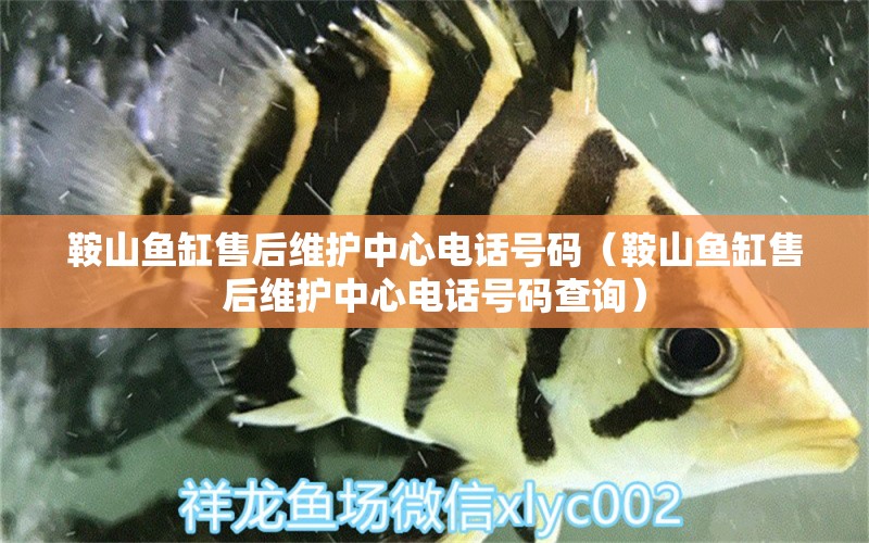 鞍山魚缸售后維護(hù)中心電話號碼（鞍山魚缸售后維護(hù)中心電話號碼查詢）