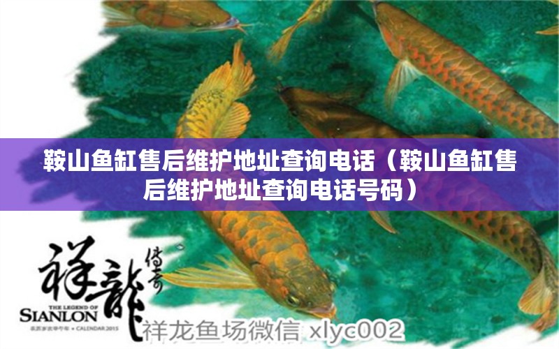 鞍山魚缸售后維護(hù)地址查詢電話（鞍山魚缸售后維護(hù)地址查詢電話號碼）