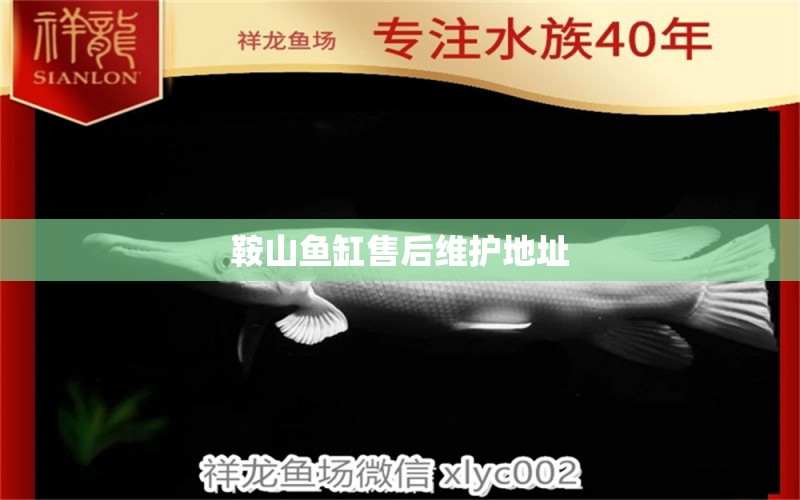 鞍山魚缸售后維護(hù)地址 其他品牌魚缸