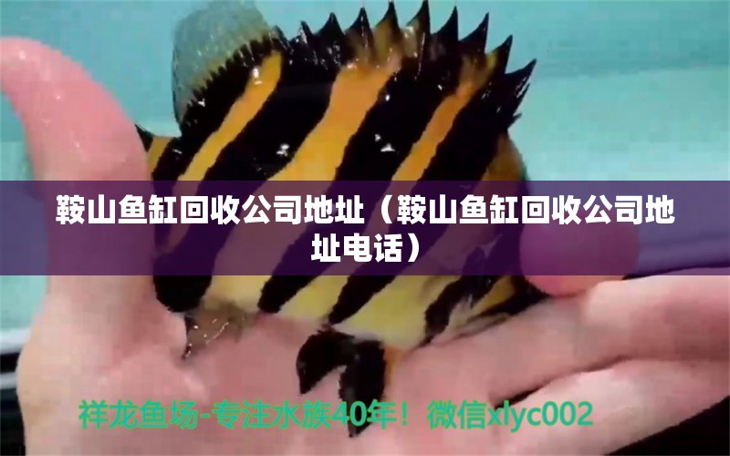 鞍山魚缸回收公司地址（鞍山魚缸回收公司地址電話） 祥龍水族醫(yī)院