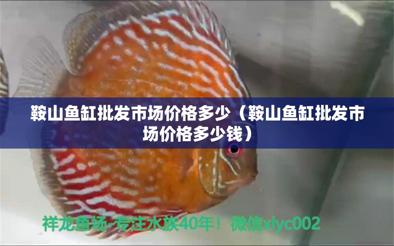 鞍山魚缸批發(fā)市場(chǎng)價(jià)格多少（鞍山魚缸批發(fā)市場(chǎng)價(jià)格多少錢） 其他品牌魚缸