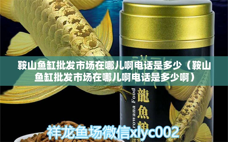 鞍山魚缸批發(fā)市場在哪兒啊電話是多少（鞍山魚缸批發(fā)市場在哪兒啊電話是多少?。? title=