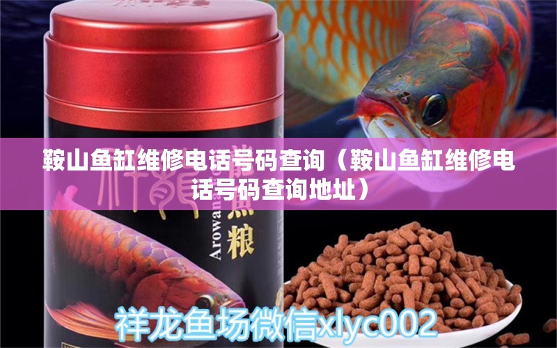 鞍山魚缸維修電話號碼查詢（鞍山魚缸維修電話號碼查詢地址）