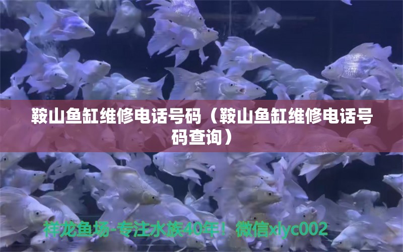 鞍山魚缸維修電話號(hào)碼（鞍山魚缸維修電話號(hào)碼查詢） 其他品牌魚缸