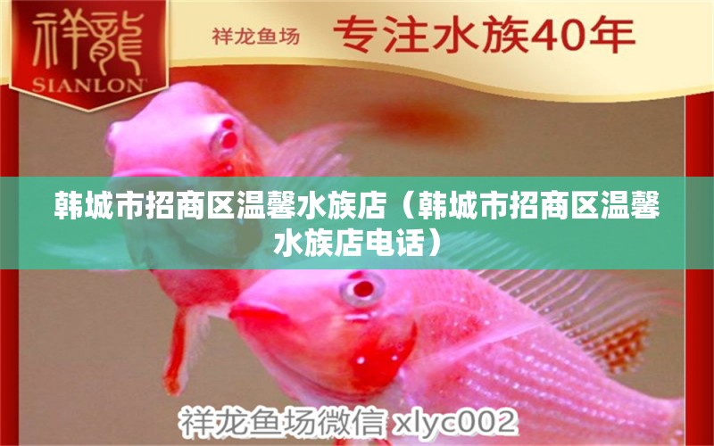 韓城市招商區(qū)溫馨水族店（韓城市招商區(qū)溫馨水族店電話）