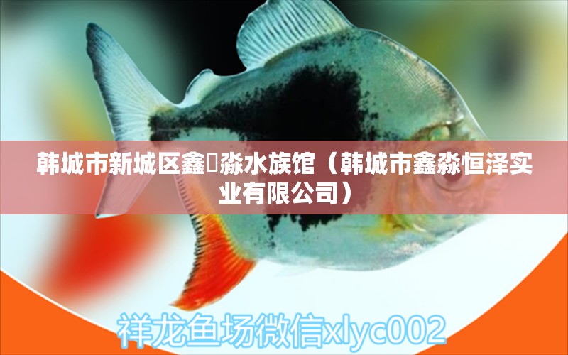 韓城市新城區(qū)鑫鱻淼水族館（韓城市鑫淼恒澤實業(yè)有限公司）