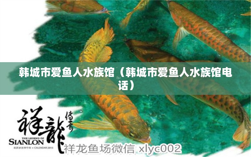 韓城市愛魚人水族館（韓城市愛魚人水族館電話）