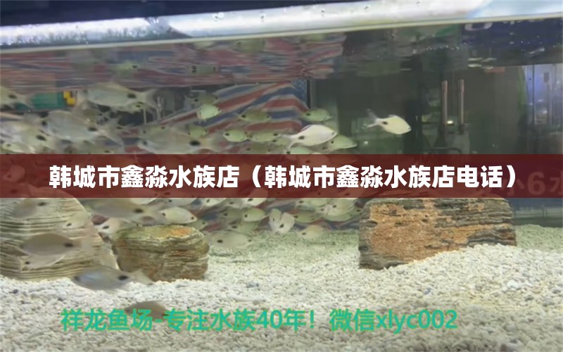 韓城市鑫淼水族店（韓城市鑫淼水族店電話） 全國(guó)水族館企業(yè)名錄