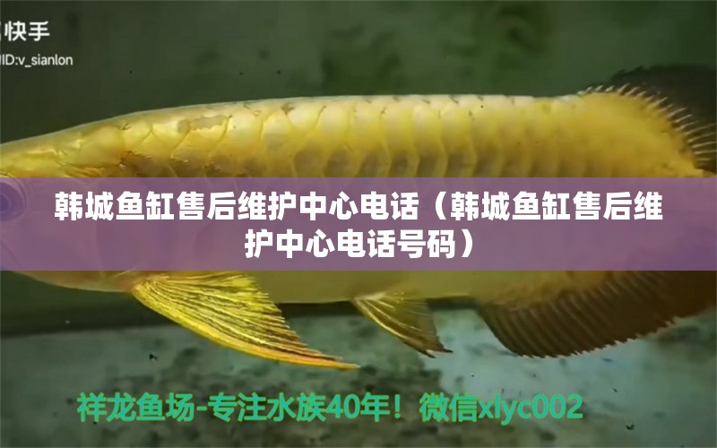 韓城魚缸售后維護(hù)中心電話（韓城魚缸售后維護(hù)中心電話號(hào)碼） 其他品牌魚缸