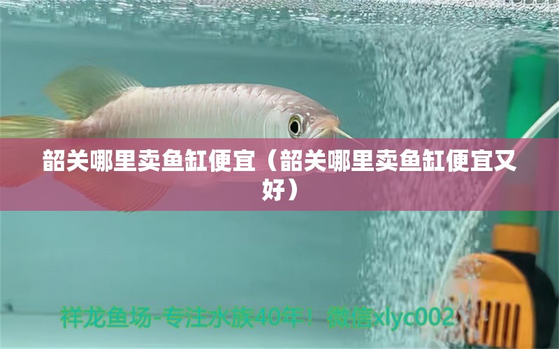 韶關(guān)哪里賣(mài)魚(yú)缸便宜（韶關(guān)哪里賣(mài)魚(yú)缸便宜又好） 其他品牌魚(yú)缸