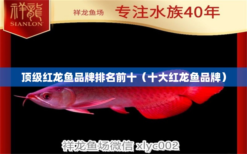 頂級紅龍魚品牌排名前十（十大紅龍魚品牌）