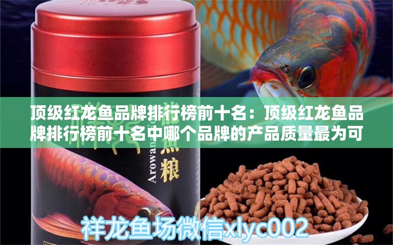 頂級(jí)紅龍魚品牌排行榜前十名：頂級(jí)紅龍魚品牌排行榜前十名中哪個(gè)品牌的產(chǎn)品質(zhì)量最為可靠？ 水族問(wèn)答 第2張