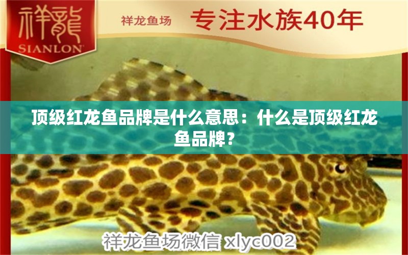 頂級紅龍魚品牌是什么意思：什么是頂級紅龍魚品牌？ 水族問答 第2張