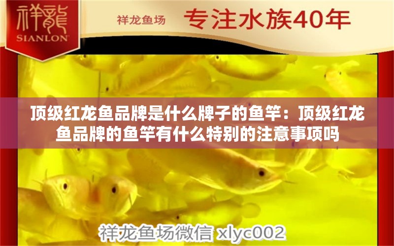 頂級(jí)紅龍魚品牌是什么牌子的魚竿：頂級(jí)紅龍魚品牌的魚竿有什么特別的注意事項(xiàng)嗎 水族問(wèn)答 第2張