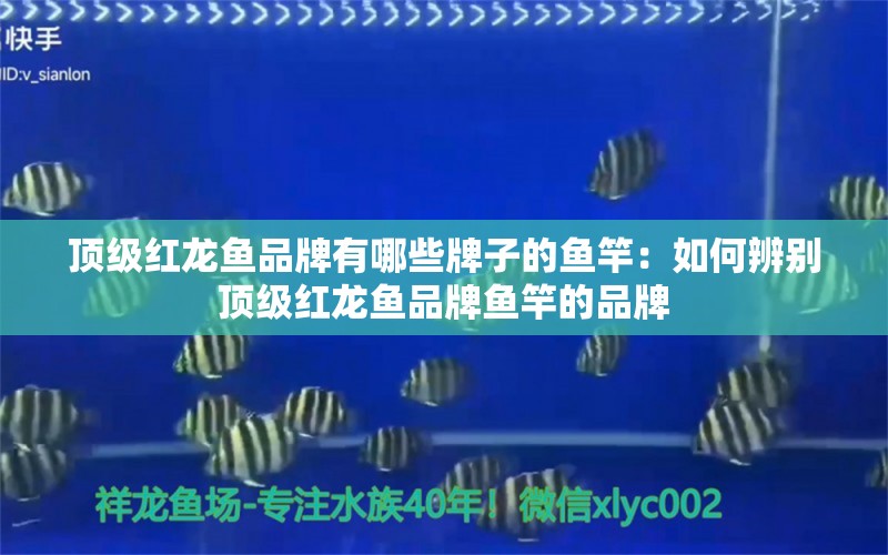 頂級紅龍魚品牌有哪些牌子的魚竿：如何辨別頂級紅龍魚品牌魚竿的品牌 水族問答 第2張