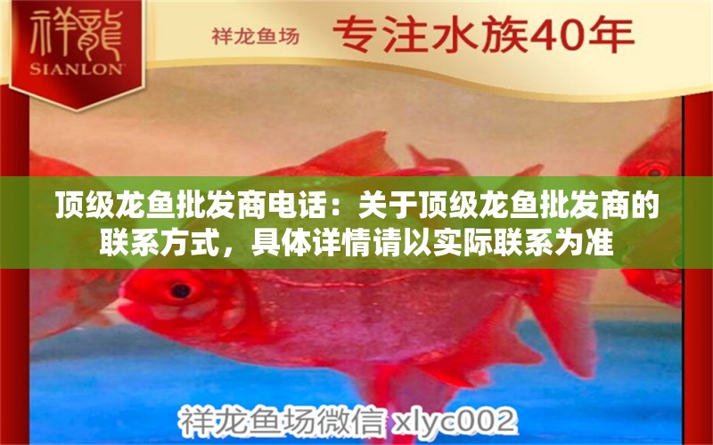 頂級龍魚批發(fā)商電話：關(guān)于頂級龍魚批發(fā)商的聯(lián)系方式，具體詳情請以實際聯(lián)系為準 水族問答 第2張