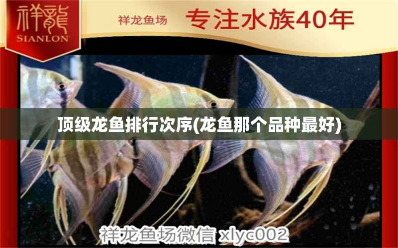 頂級龍魚排行次序(龍魚那個品種最好)