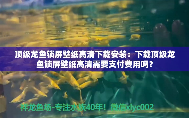 頂級龍魚鎖屏壁紙高清下載安裝：下載頂級龍魚鎖屏壁紙高清需要支付費(fèi)用嗎？ 水族問答 第1張