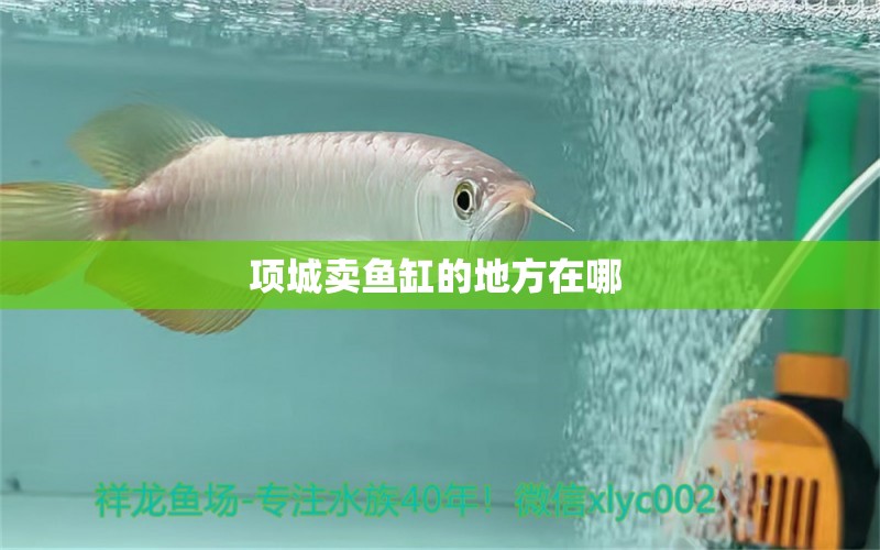 項(xiàng)城賣魚(yú)缸的地方在哪 