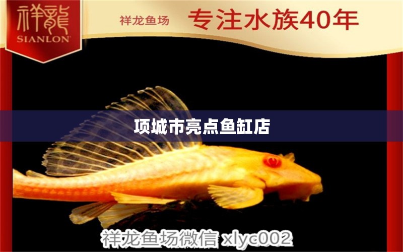 項(xiàng)城市亮點(diǎn)魚(yú)缸店 全國(guó)水族館企業(yè)名錄