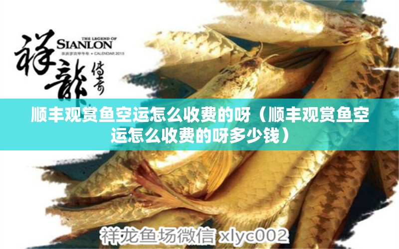 順豐觀賞魚空運(yùn)怎么收費(fèi)的呀（順豐觀賞魚空運(yùn)怎么收費(fèi)的呀多少錢） 觀賞魚