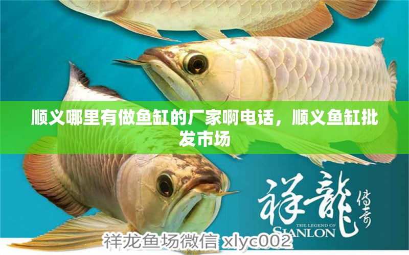 順義哪里有做魚缸的廠家啊電話，順義魚缸批發(fā)市場 觀賞魚 第1張