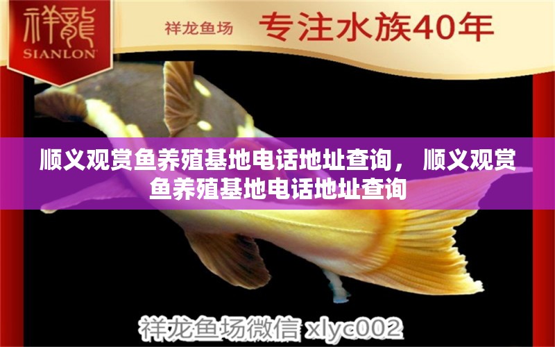 順義觀賞魚養(yǎng)殖基地電話地址查詢， 順義觀賞魚養(yǎng)殖基地電話地址查詢 水族維護(hù)服務(wù)（上門） 第1張