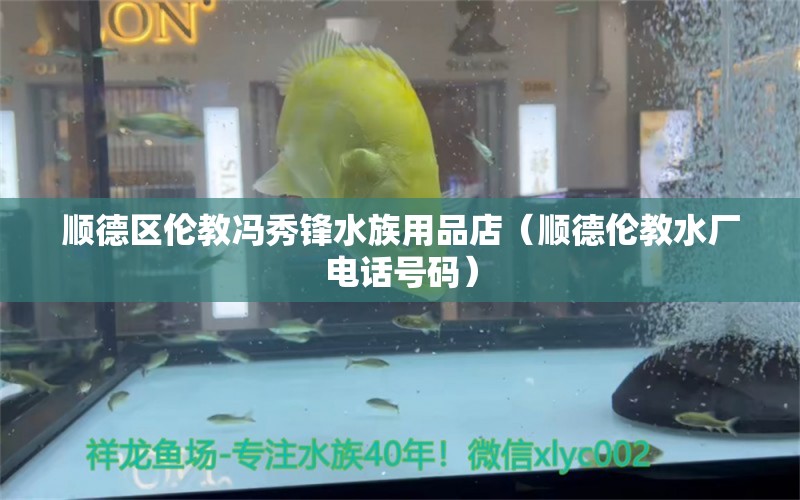 順德區(qū)倫教馮秀鋒水族用品店（順德倫教水廠電話號碼） 水族用品