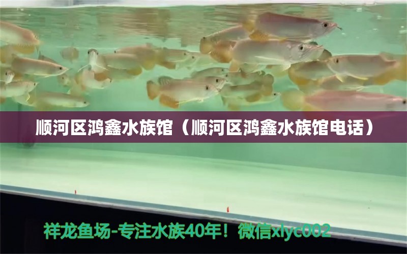 順河區(qū)鴻鑫水族館（順河區(qū)鴻鑫水族館電話）