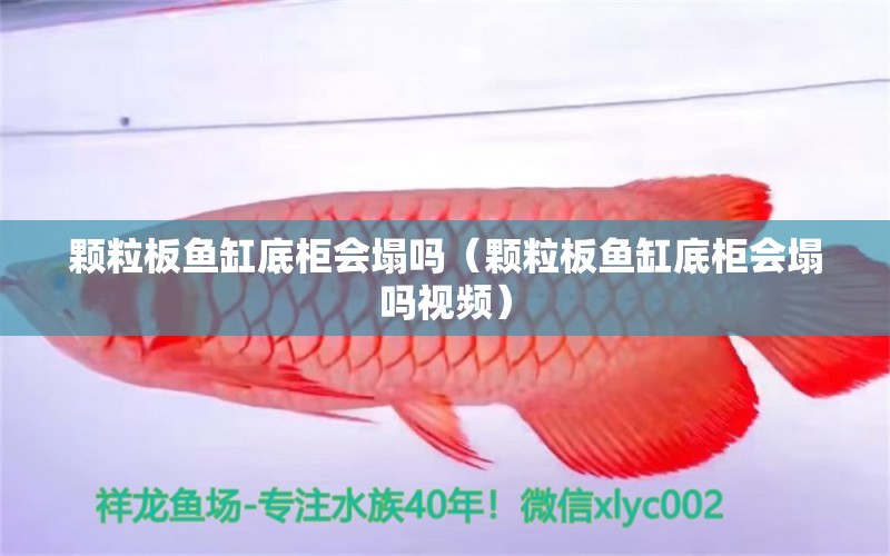 顆粒板魚缸底柜會塌嗎（顆粒板魚缸底柜會塌嗎視頻） 祥龍水族醫(yī)院