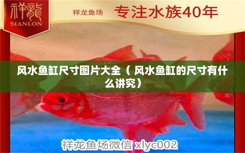 風水魚缸尺寸圖片大全（ 風水魚缸的尺寸有什么講究） 食人魚（水虎） 第1張