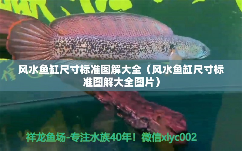 風水魚缸尺寸標準圖解大全（風水魚缸尺寸標準圖解大全圖片） 魚缸風水